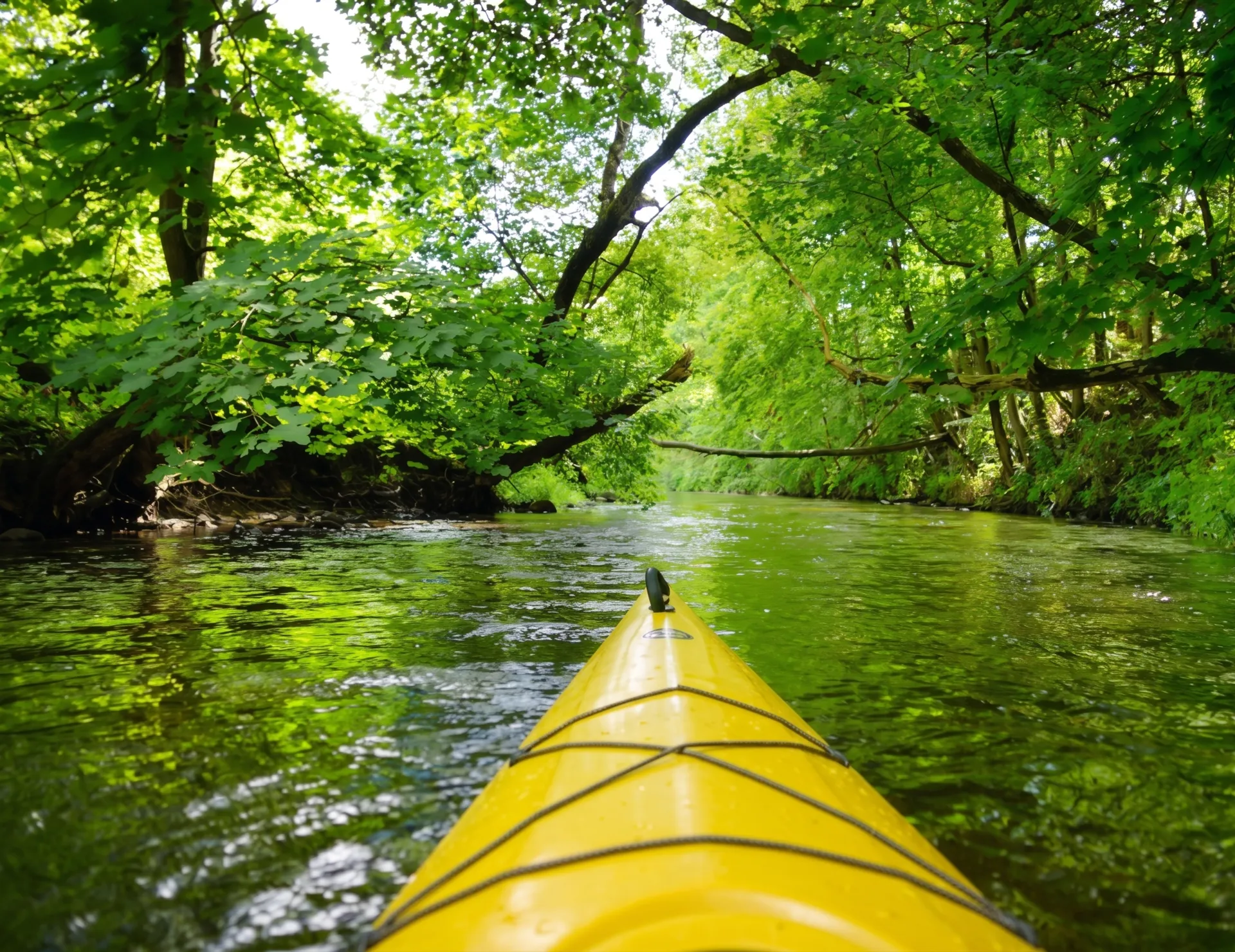 Ruhige Naturkulisse am Niederrhein als Inspiration für einen Heiratsantrag